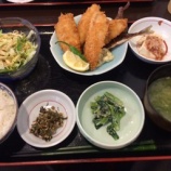 �ؿ��� ��(�ˤ���)�����ؤꡦ�����ե饤��1100�ߡ��ȤƤ��ɤ��Ǥ��٤β���