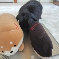 気合い！