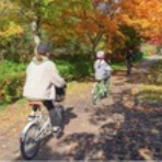 サイクルロード ～自転車への道