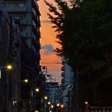 『夏の甲子園で150キロ越え投手が10人以上いる理由 vol.4120』の画像