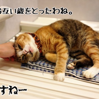 幸せ風呂の季節がやってきた♪