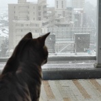 のりたまっ！！