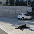 ミカさんとデート