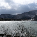 しない・させない・させられない