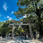 介護がきた・50代から始める独身女性の仕事と生き方