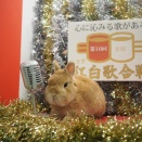 12月6日のグルーミングフォト