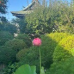 ニッキのＳｍａｒｔなＢｌｏｇ
