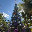 ★Honolulu City Lights (お昼間バージョン)