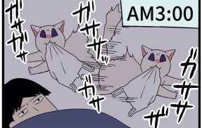 深夜から早朝の「メンヘラ猫の身勝手な日常」