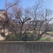 ���������衡��������������־졡�����㤬�ʥ���