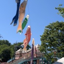 ｢しんとうふるさと公園春まつり2026｣