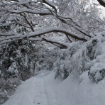 カケヒのしづく