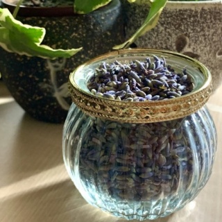 にいがた速報 - 新潟県新潟市の地域情報サイト