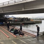 マリステペンギン日記