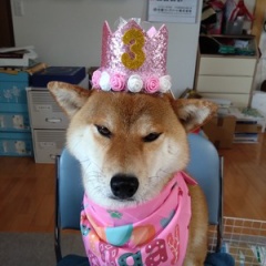 Happy　Birthday