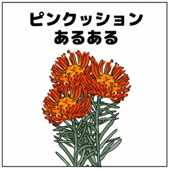 📍📍ピンクッションあるある📍📍