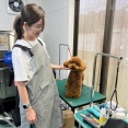今日も曇り空のシェルター通信です🐶💗😸