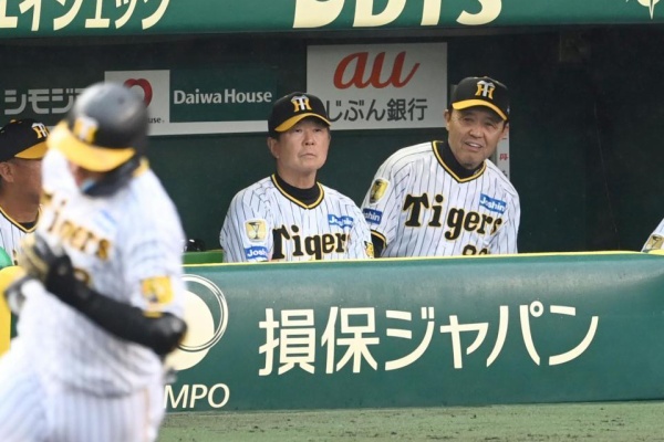 阪神タイガース ボブルヘッド 鳥谷 西岡 新井良 桧山 藤浪5体