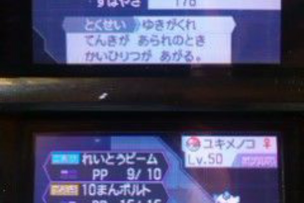 しゃべる犬の小屋 育成