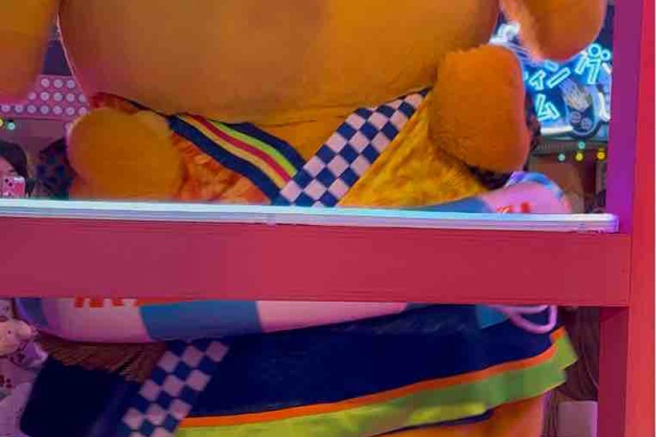 ぷりんくん様の専用ページです。 Sanrio] The ultimate asterisk-filled collab! * Pompompurin