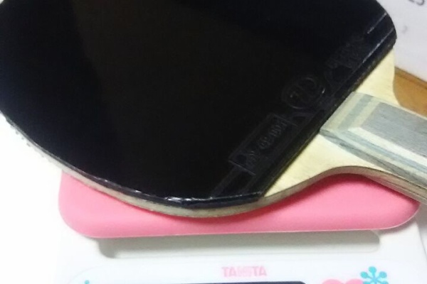 卓球用具探究所 年02月