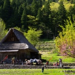 五箇山彩時季　四季合掌 +α