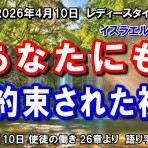 キリスト教（聖書）モリーのディボーション