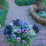 ブルーガーデンと花育て