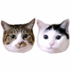 うちのとらまる