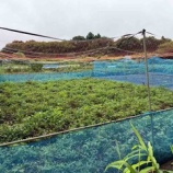 �ر������Ϥ�����ٺפꤽ�н�Ź����ƺ��٤β���