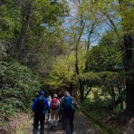 あだると山の会