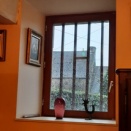 「張り子の虎」じゃないけれど雨が酷くて・・・