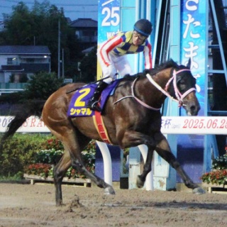 ☆うまなみ・競馬にゅーす速報