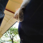 青空と陽だまり。猫の声が聞こえる