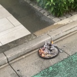 『東京のお盆の迎え火と麻　vol.4453』の画像