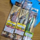 猿とエギング