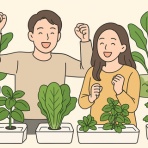 サラダプラント