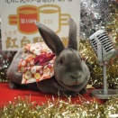 12月25日のグルーミングフォト