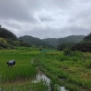 なるほど！　まずやってみましょう