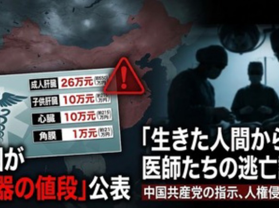 【悲報】中国は臓器値段を公表「成人肝臟→550万、子供肝臟→215万、心臓→215万、角膜→21万」調達元は囚人か、狂ってると医師が複数逃走