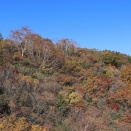 安達太良山　行列山行