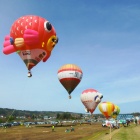 �غ��ץХ롼��ե����ƥ��Х�2022��Ǯ���巸α�θ���� �������ϤΤ��Τ餻�٤β���