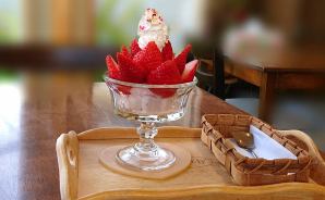 安くておいしいジェラート専門店