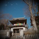 布施弁天・須賀神社