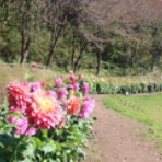 元祖納豆ラーメン喜楽