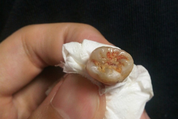 野獣先輩速報 Mur