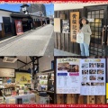 京都観光~伏見はんなりぶらり旅写真集(6)/花前カレン