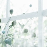 『コロナ禍での帰省』の画像