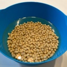 お味噌作ってみた［仕込みやらかし編］