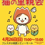Human＆Animal Network   365日 里親募集中！